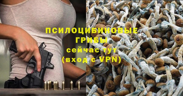 MESCALINE Нефтекумск