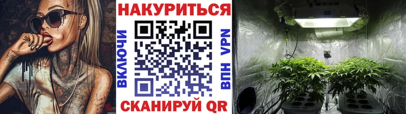 закладки  дарк нет как зайти  Канабис SATIVA & INDICA  Отрадное 